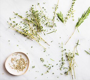 Naturopathe femmes à Scientrier (Haute-Savoie) – Digestion, Sommeil, Cycles | Amandine Meneau