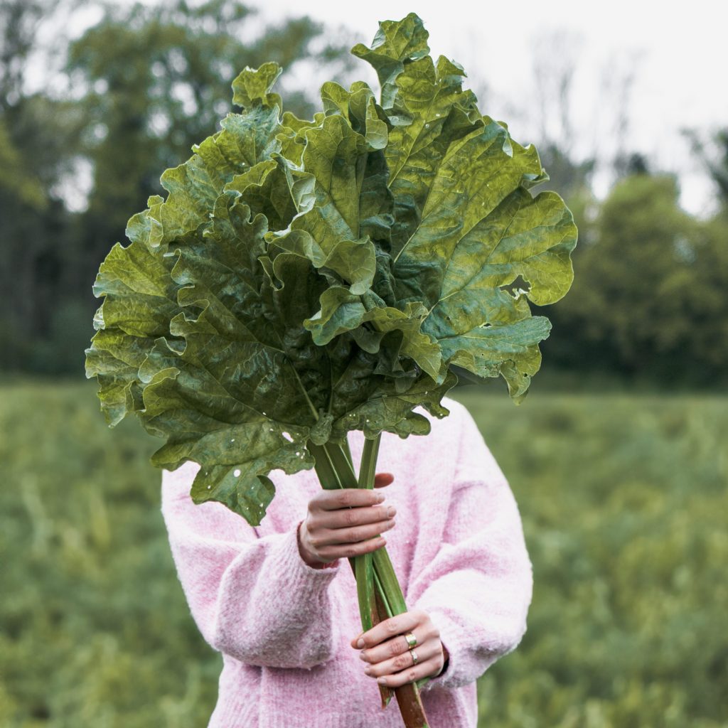 Amandine Meneau, naturopathe pour femmes en Haute-Savoie, FRANCE