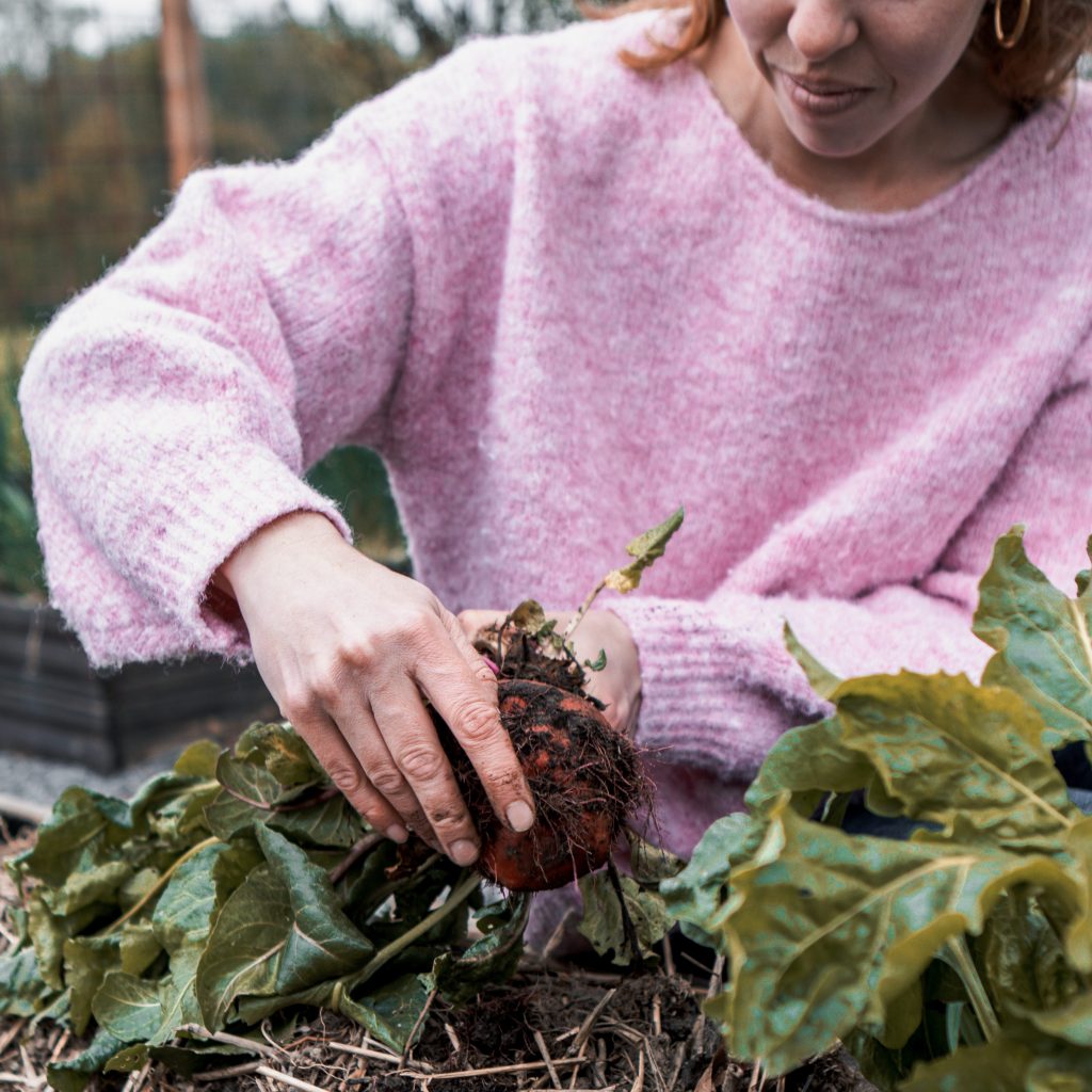 suivi-naturopathie-scientrier-60min