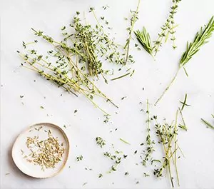 Naturopathe femmes à Scientrier (Haute-Savoie) – Digestion, Sommeil, Cycles | Amandine Meneau